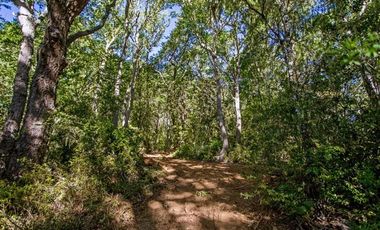 Parcela en Venta en Pelluhue