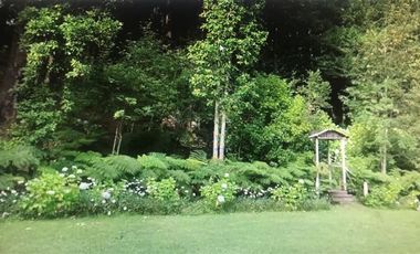 Agrícola en Venta en Lago Colico