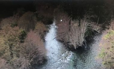 Agrícola en Venta en Lago Colico