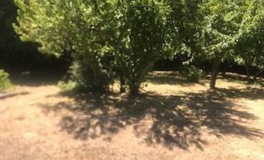 Terreno Construccion  en Venta en Rivera Río Damas