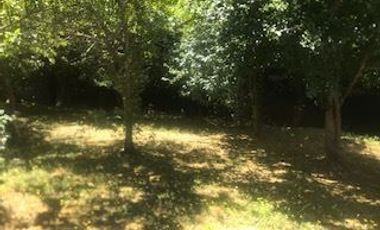 Terreno Construccion  en Venta en Rivera Río Damas