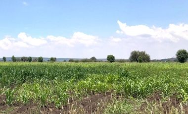 Terreno  venta  cerca Poligono Industrial, San Miguel de Allende, Gto.
