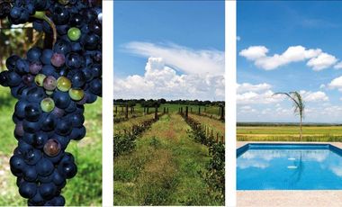 Excelentes terrenos en el desarrollo Las Campanas