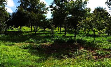 Rancho  venta, carretera Dolores a Rio Laja  Dolores Hgo.Gto