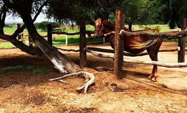 Rancho  venta, carretera Dolores a Rio Laja  Dolores Hgo.Gto