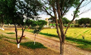 Rancho  venta, carretera Dolores a Rio Laja  Dolores Hgo.Gto