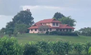 5 Bedroom House for sale in Ngao, Chiang Rai