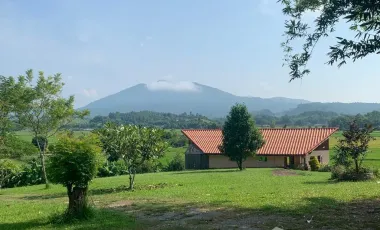5 Bedroom House for sale in Ngao, Chiang Rai