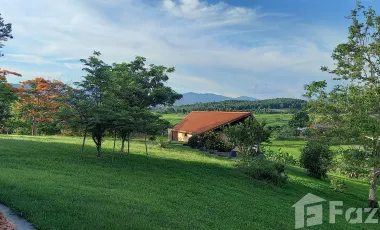 5 Bedroom House for sale in Ngao, Chiang Rai