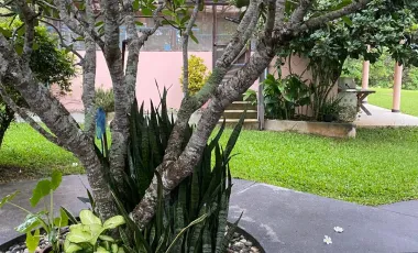 5 Bedroom House for sale in Ngao, Chiang Rai