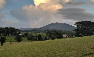 5 Bedroom House for sale in Ngao, Chiang Rai