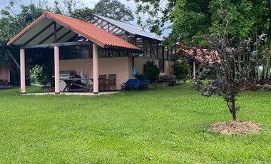 5 Bedroom House for sale in Ngao, Chiang Rai