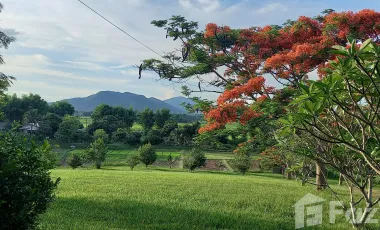 5 Bedroom House for sale in Ngao, Chiang Rai