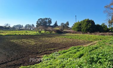 Terreno para desarrollo en Michaihue