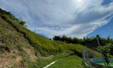 LOTE EN VENTA EN SECTOR CERRITO/PEREIRA