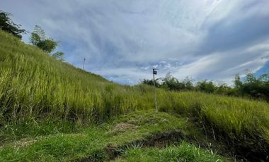 LOTE EN VENTA EN SECTOR CERRITO/PEREIRA