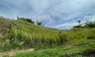 LOTE EN VENTA EN SECTOR CERRITO/PEREIRA