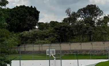 Bosque Real de Santa Anita - N13