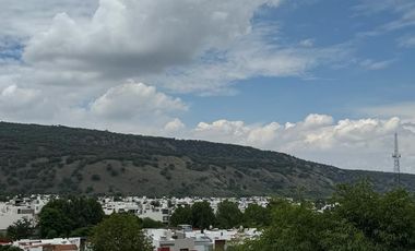 Bosque Real de Santa Anita - N13