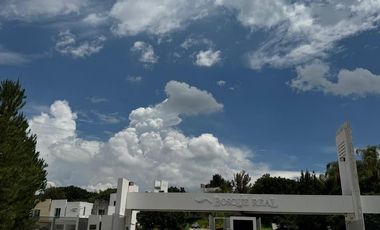 Bosque Real de Santa Anita - N13
