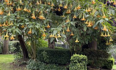 Casa en venta, ex hacienda Jajalpa, Ocoyoacac, Edo de Mexico