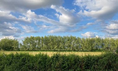 Santa Cruz, Amplio terreno Sector La Patagüilla