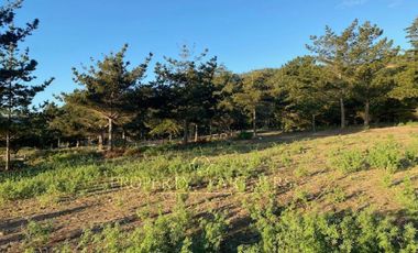 Puertecillo, Espectacular Terreno  frente al mar en Exlusivo Condominio