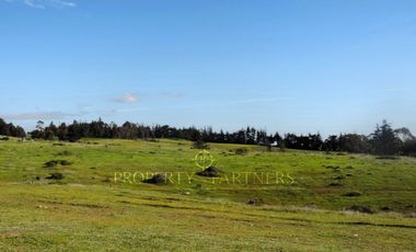 Pichilemu, Terrenos en Condominio con Vista al Mar