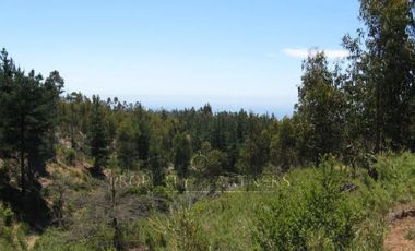 Matanzas, Terreno Ideal para Proyecto de Cabañas.