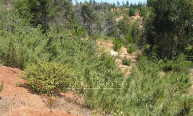 Matanzas, Terreno Ideal para Proyecto de Cabañas.