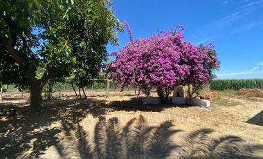 Casa Patrimonial Remodelada en El Huique
