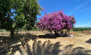Casa Patrimonial Remodelada en El Huique