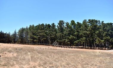 Pichilemu, Terrenos en Proyecto Inmobiliario