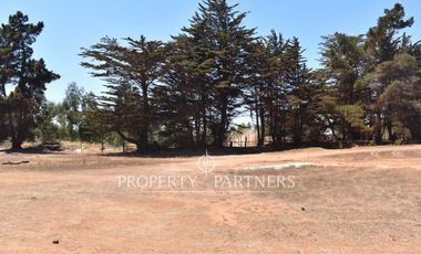 Pichilemu, Terrenos en Proyecto Inmobiliario