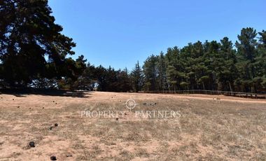 Pichilemu, Terrenos en Proyecto Inmobiliario