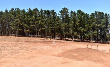 Pichilemu, Terrenos en Proyecto Inmobiliario