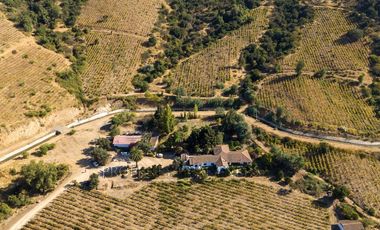 Lolol, Casa de Campo con Viñedos