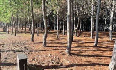 Matanzas, Terreno en Condominio Reserva el Maitén