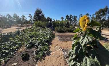 Matanzas, Terreno en Condominio Reserva el Maitén