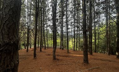 Matanzas, Excelente terreno condominio El Maitén