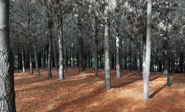 Matanzas, Excelente terreno condominio El Maitén