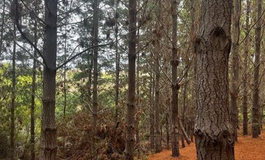 Matanzas, Excelente terreno condominio El Maitén