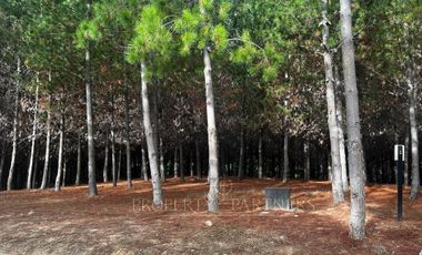 Matanzas, Excelente terreno condominio El Maitén