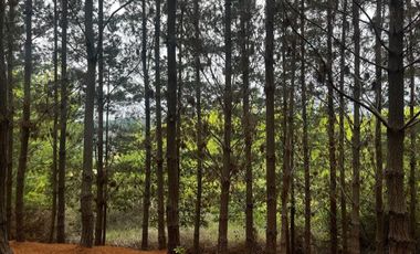 Matanzas, Excelente terreno condominio El Maitén