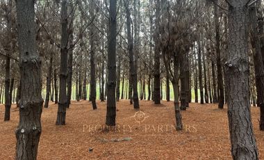 Matanzas, Excelente terreno condominio El Maitén