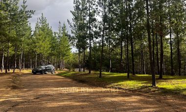 Matanzas, Excelente terreno condominio El Maitén