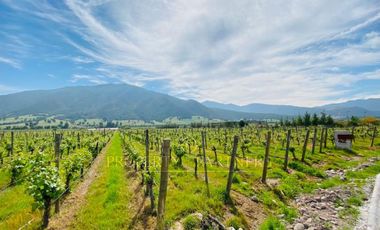 Fantástico Terreno en Pircas de Apalta