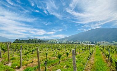 Fantástico Terreno en Pircas de Apalta