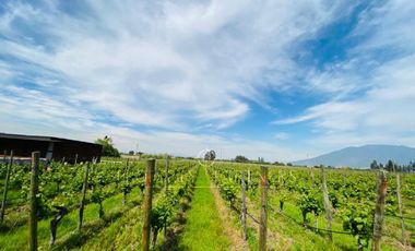 Fantástico Terreno en Pircas de Apalta