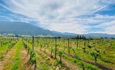 Fantástico Terreno en Pircas de Apalta